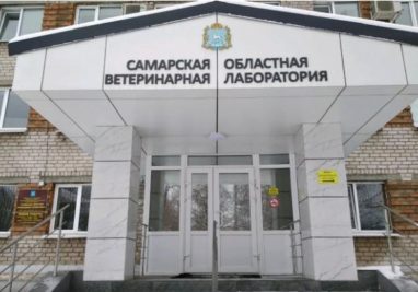 Удостоверение о повышении квалификации Кроматина Т.Г. | Государственное бюджетное учреждение Самарской области «Самарская областная ветеринарная лаборатория» | Новости лаборатории