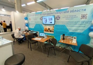 Удостоверение о повышении квалификации Кроматина Т.Г. | Государственное бюджетное учреждение Самарской области «Самарская областная ветеринарная лаборатория» | Новости лаборатории