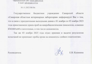 31 августа 2023 года в День ветеринарного работника в Департаменте ветеринарии Самарской области состоялось торжественное собрание ветеринарных работников Самарской области. | Государственное бюджетное учреждение Самарской области «Самарская областная ветеринарная лаборатория» | Новости лаборатории