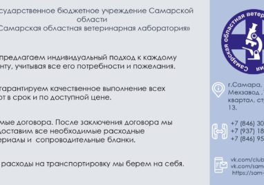 курсы повышения квалификации | Государственное бюджетное учреждение Самарской области «Самарская областная ветеринарная лаборатория» | Новости лаборатории