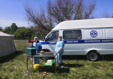 01.05.2023 | Государственное бюджетное учреждение Самарской области «Самарская областная ветеринарная лаборатория» | Новости лаборатории